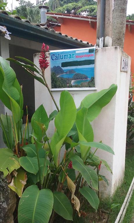 Calumar Guest House room 1